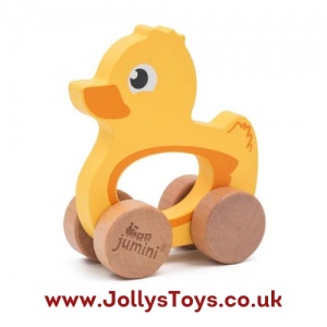 Wooden Duck Push Along